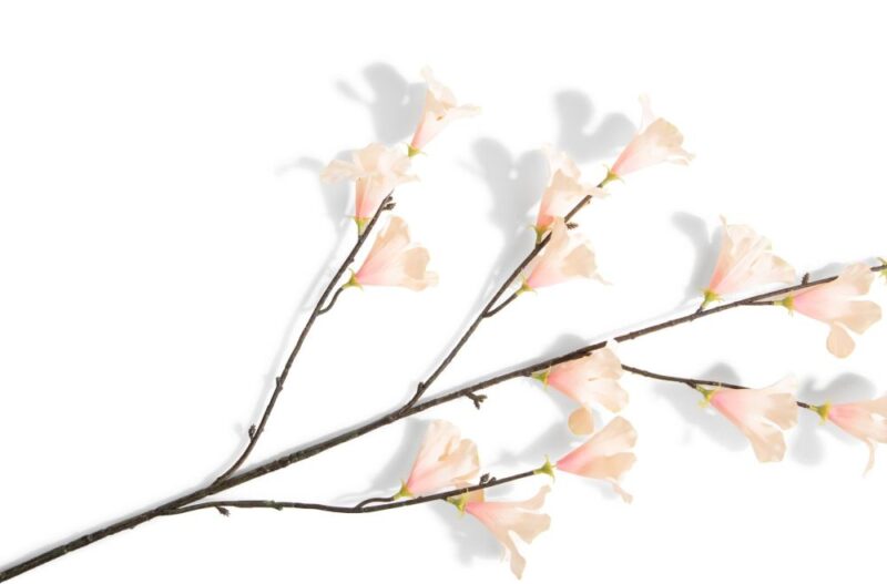 Hibiscus Branch H115Cm Kunstbloem - Oranje - Afbeelding 2