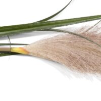 Pampus Grass kunstbloem H120cm - Groen - Afbeelding 2