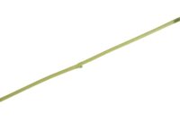 Tropaeolum Spray H88cm fleur - Vert - Image 2