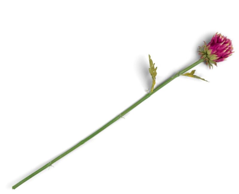 Artichoke Stem H80Cm - Roze - Afbeelding 1