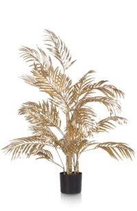 Areca Palm plant H105cm - Or