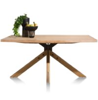 Jardino, eetkamertafel 170 x 100 cm - centrale poot - Afbeelding 4