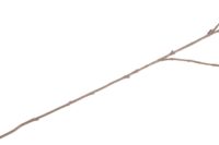 Beech Leaves Spray H95cm kunstbloem - Paars - Afbeelding 3