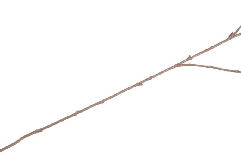 Beech Leaves Spray H95Cm Kunstbloem - Paars - Afbeelding 3