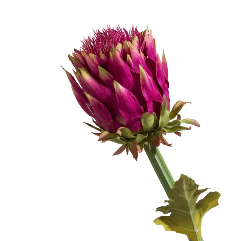 Artichoke Stem H80Cm - Roze - Afbeelding 2