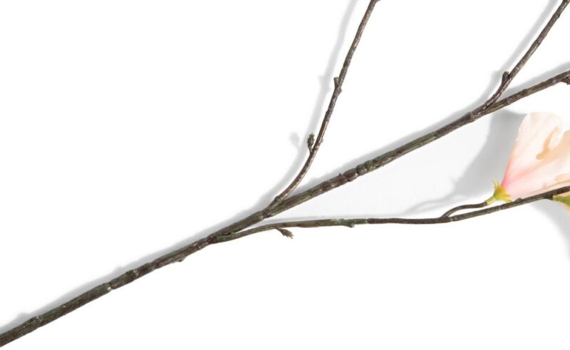 Hibiscus Branch H115Cm Kunstbloem - Oranje - Afbeelding 3