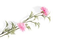 Ball Mum Spray H93cm - Rose - Image 2