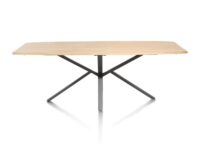 Home, table ovale 220 x 110 cm