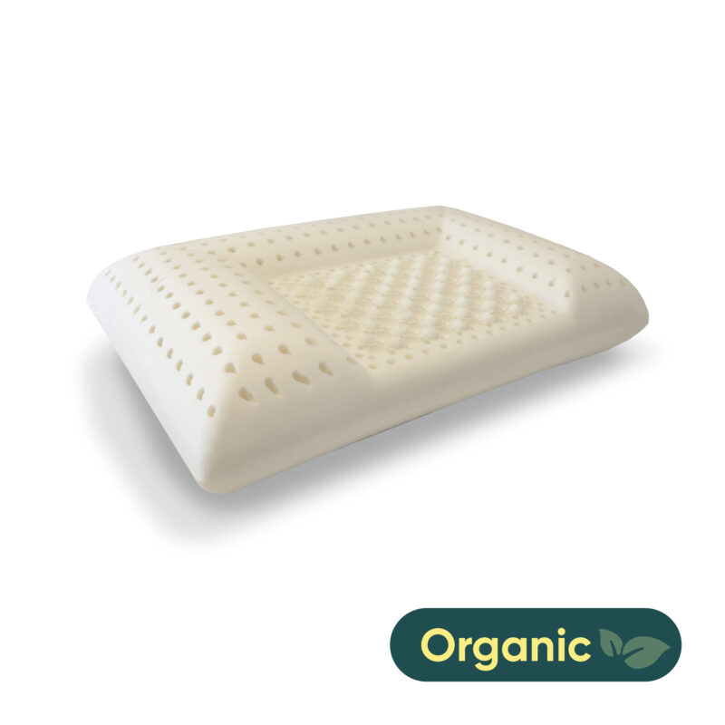 Latex Cocoon - Image 1