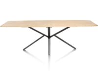 Home, table ovale 250 x 110 cm