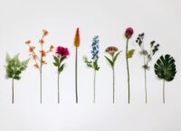 Artichoke Stem H80cm - Roze - Afbeelding 3