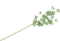 Tropaeolum Spray H88cm fleur - Vert