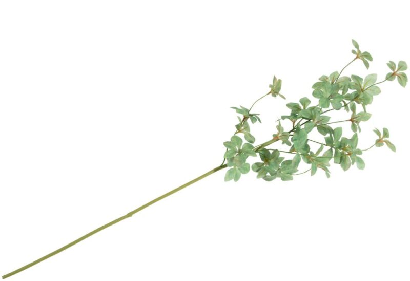 Tropaeolum Spray H88Cm Fleur - Vert - Image 1